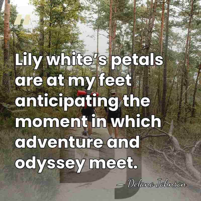 Lily white’s petals are at my feet anticipating the moment in which&hellip; - Delano Johnson