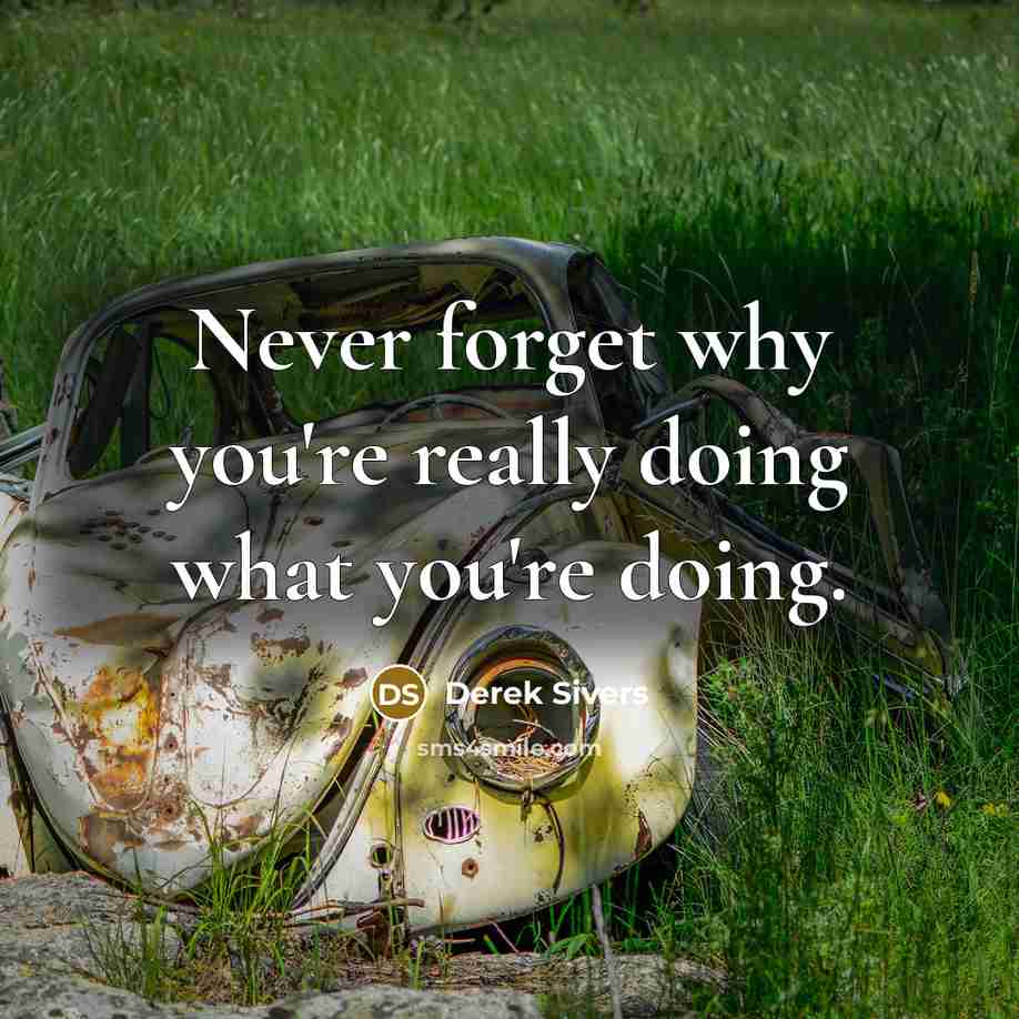 “Never forget why you're really doing what you're doing.” quote by Derek Sivers