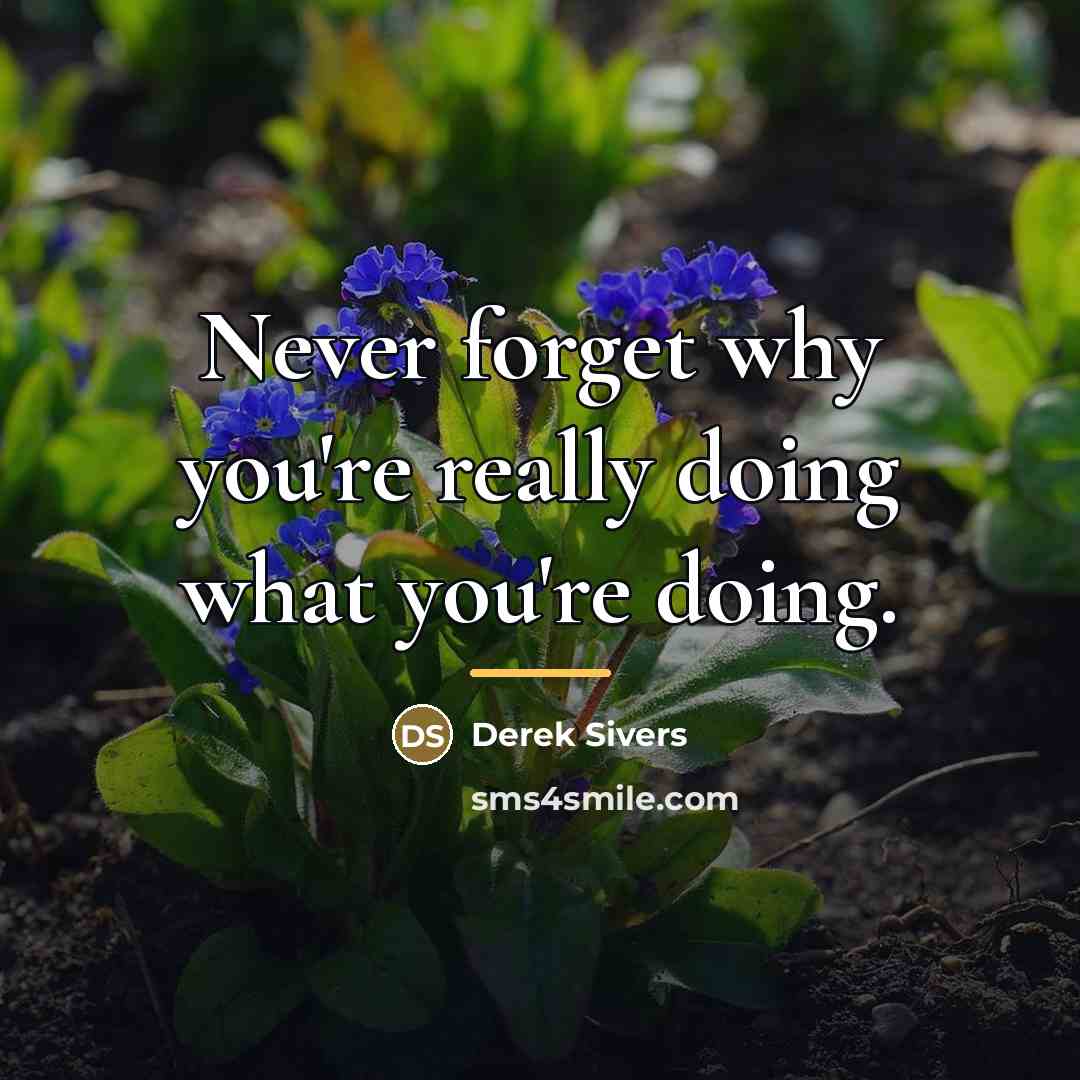 “Never forget why you're really doing what you're doing.…” quote by Derek Sivers