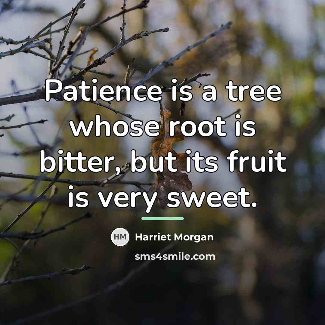 “Patience is a tree whose root is bitter, but its…” quote by Harriet Morgan