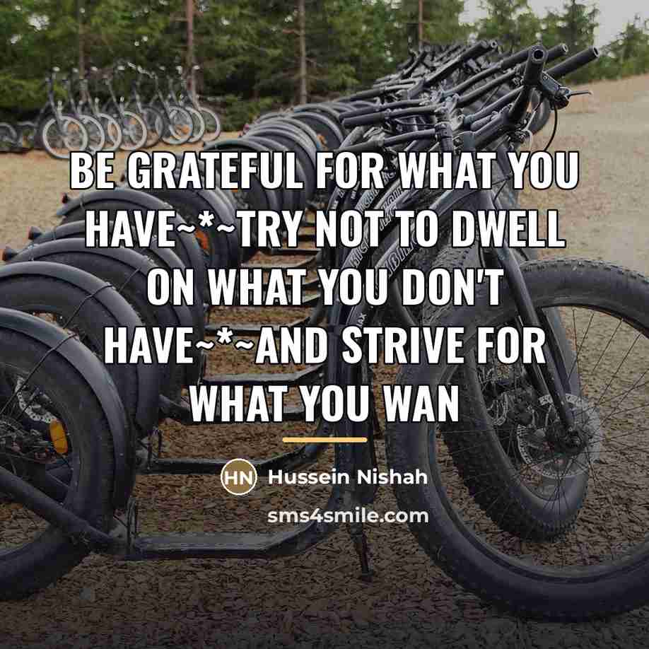 “Be grateful for what you have~*~Try not to dwell on…” quote by Hussein Nishah