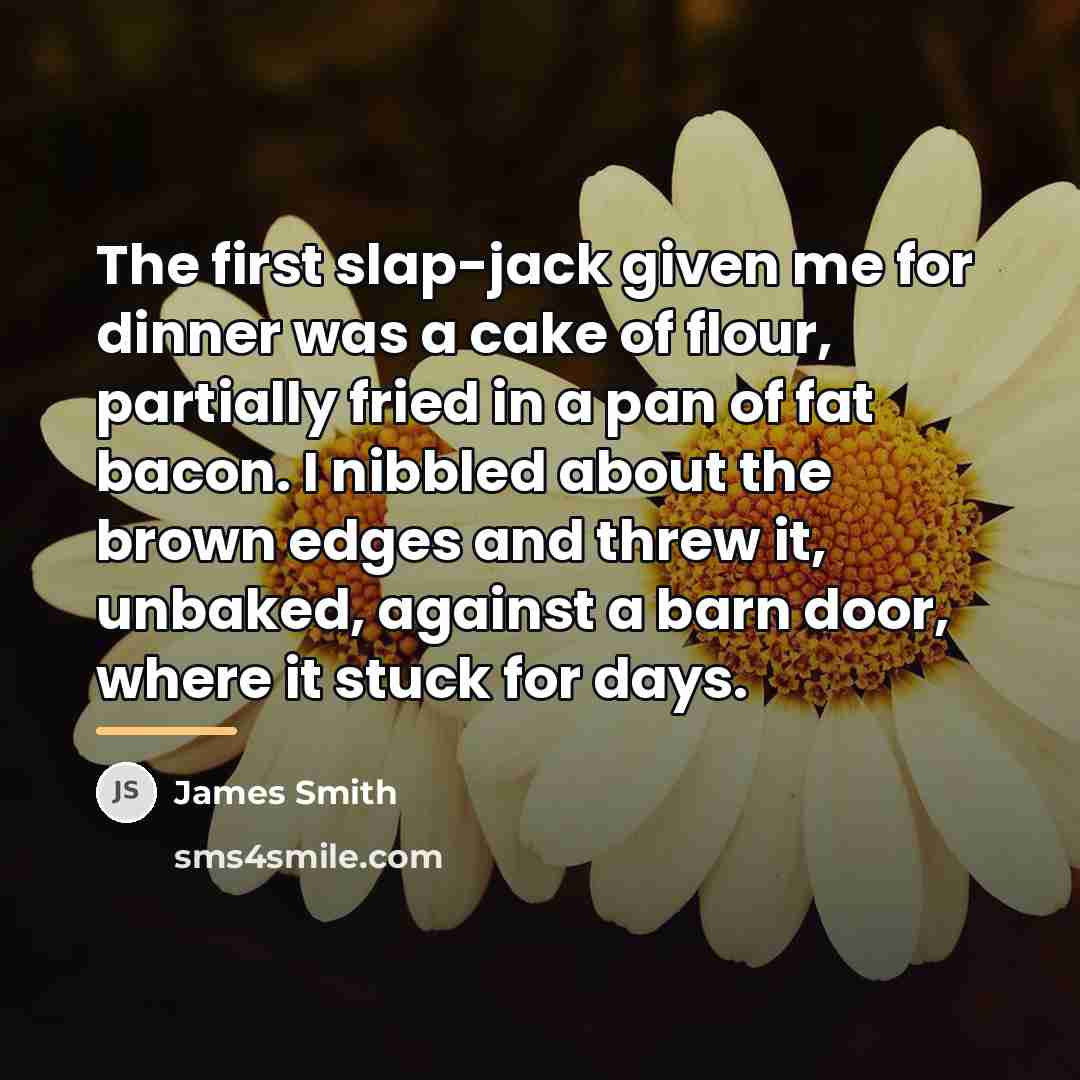 “The first slap-jack given me for dinner was a cake…” quote by James Smith