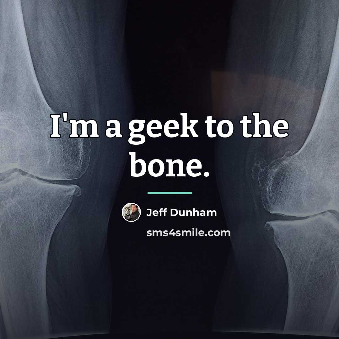 “I'm a geek to the bone.…” quote by Jeff Dunham