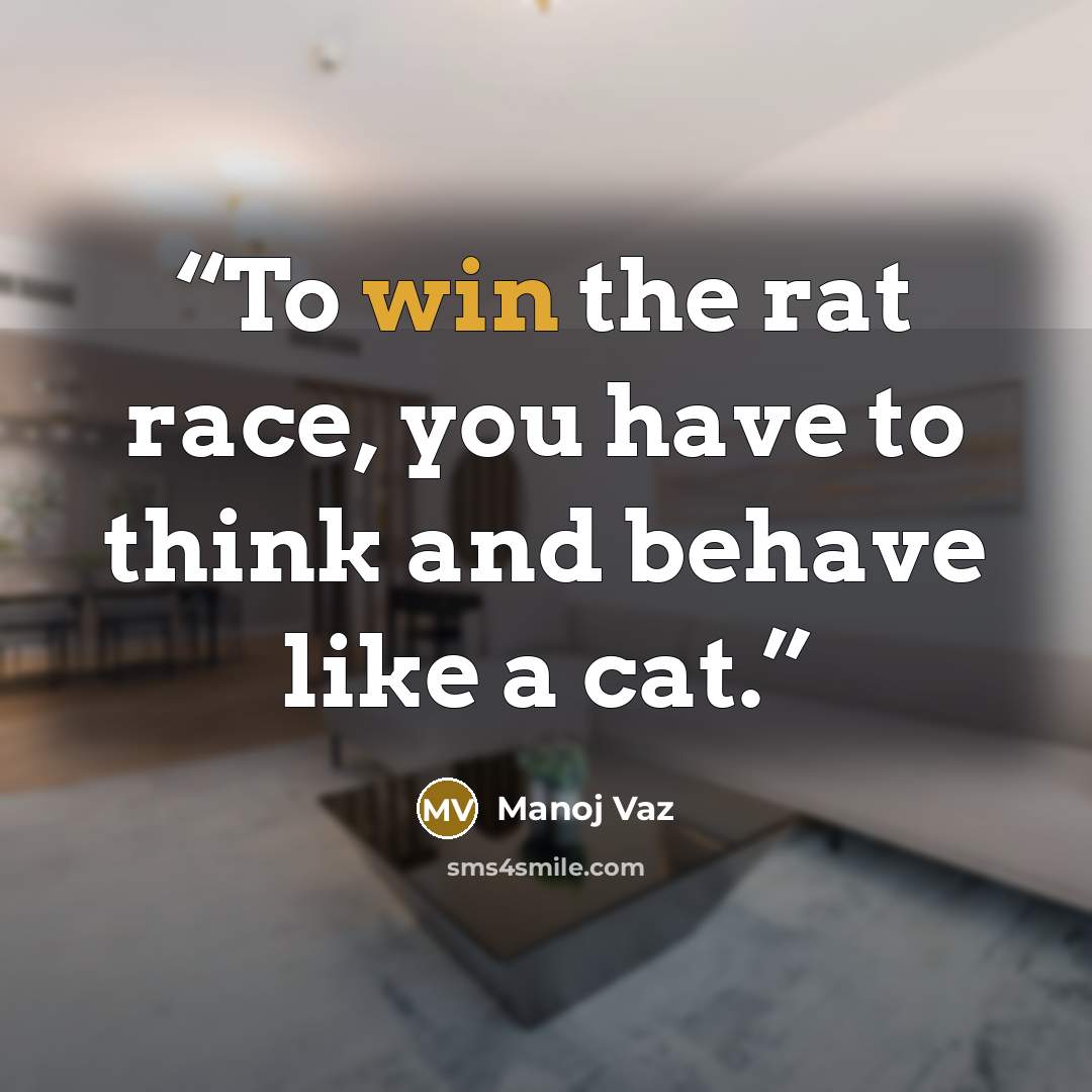 “To win the rat race, you have to think and behave like a cat.” quote by Manoj Vaz