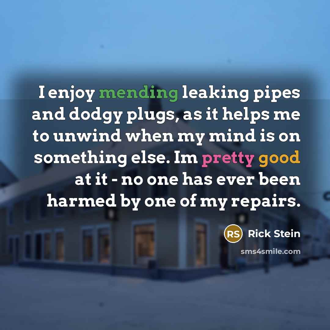 “I enjoy mending leaking pipes and dodgy plugs, as it…” quote by Rick Stein