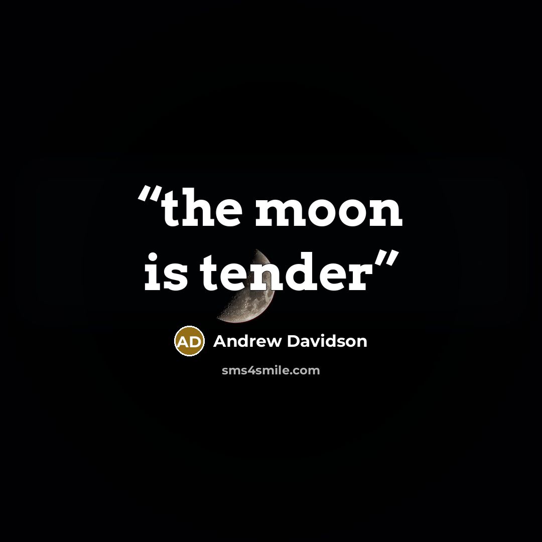 “the moon is tender” quote by Andrew Davidson