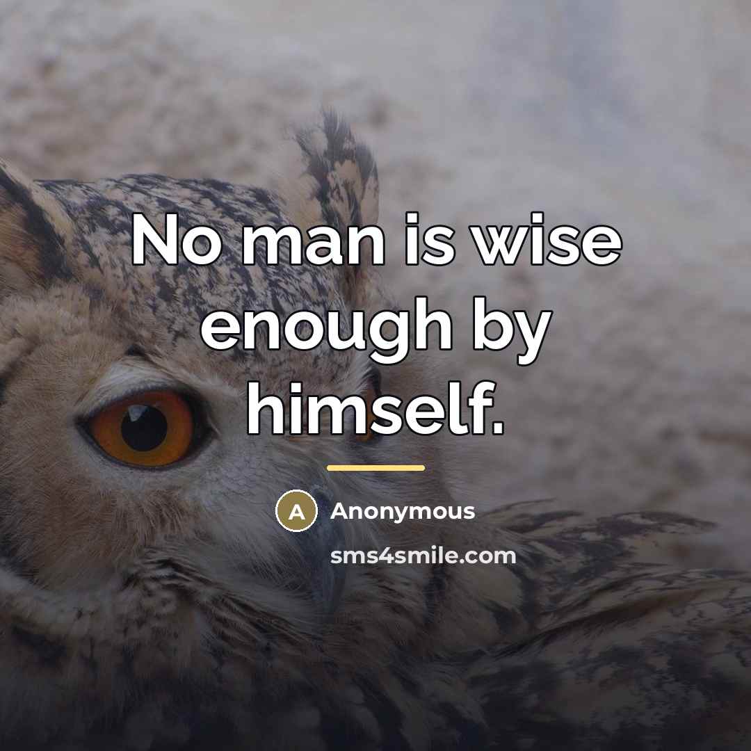“No man is wise enough by himself.…” quote by Anonymous