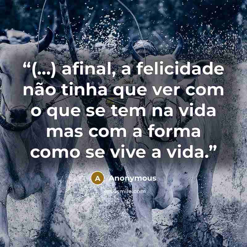 “(...) afinal, a felicidade não tinha que ver com o que se tem na vida mas com a forma como se vive a vida.” quote by Anonymous