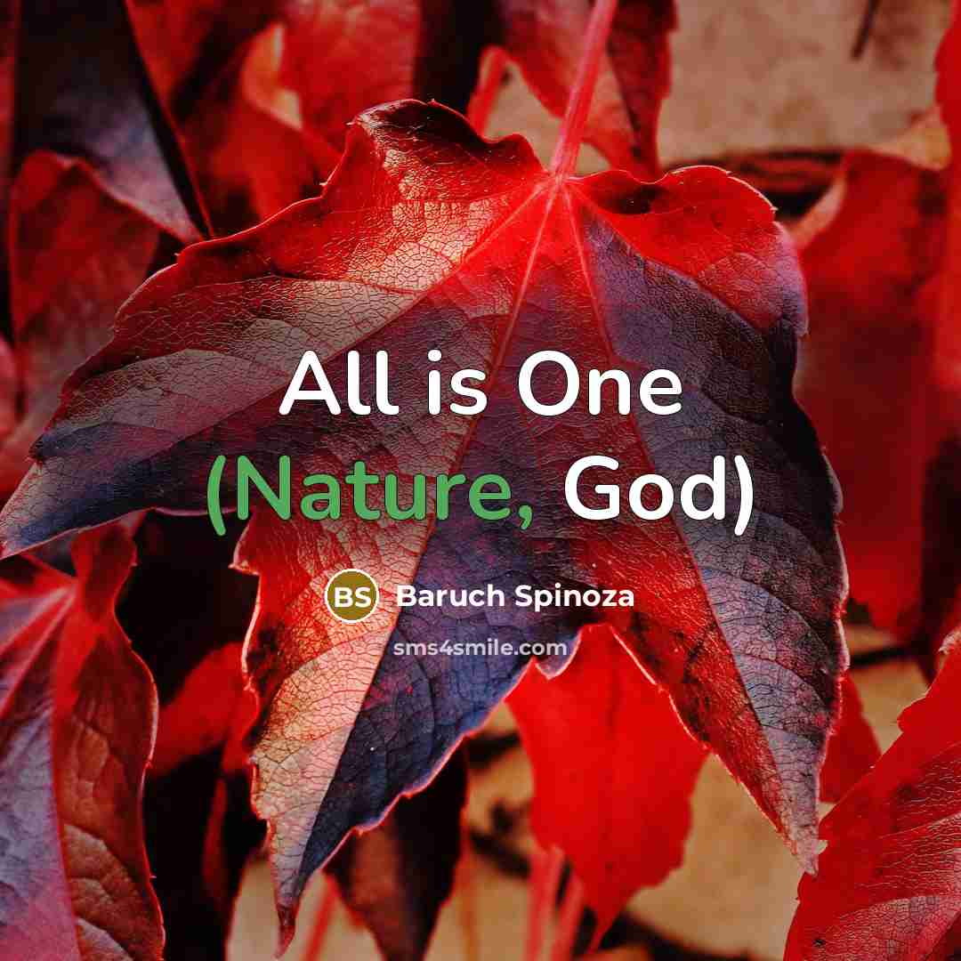 “All is One (Nature, God)…” quote by Baruch Spinoza