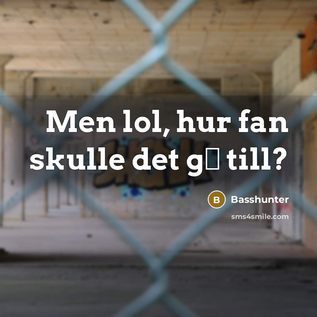“Men lol, hur fan skulle det g� till?” quote by Basshunter