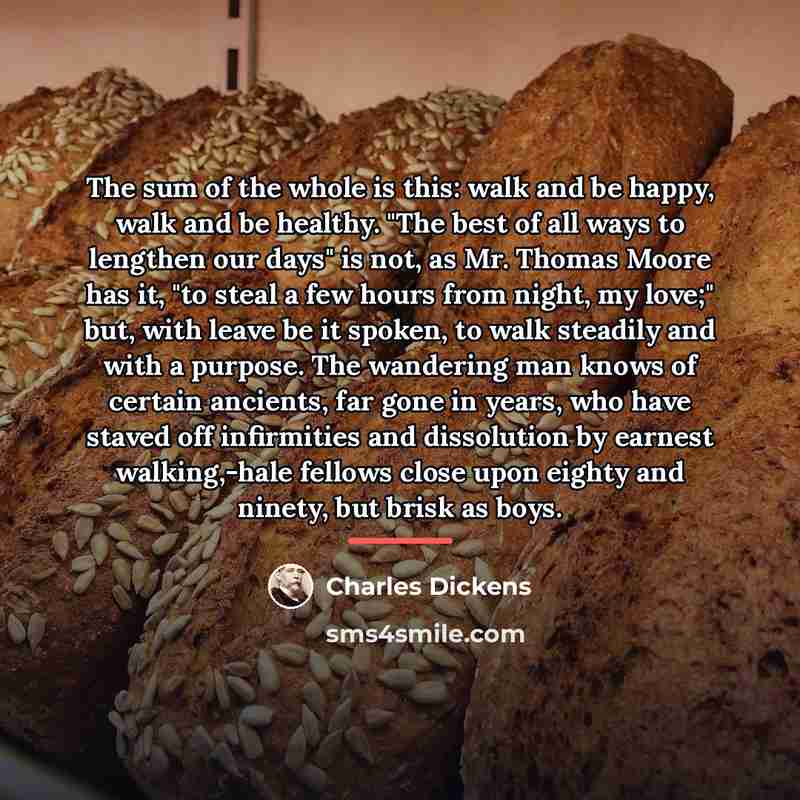 “The sum of the whole is this: walk and be…” quote by Charles Dickens