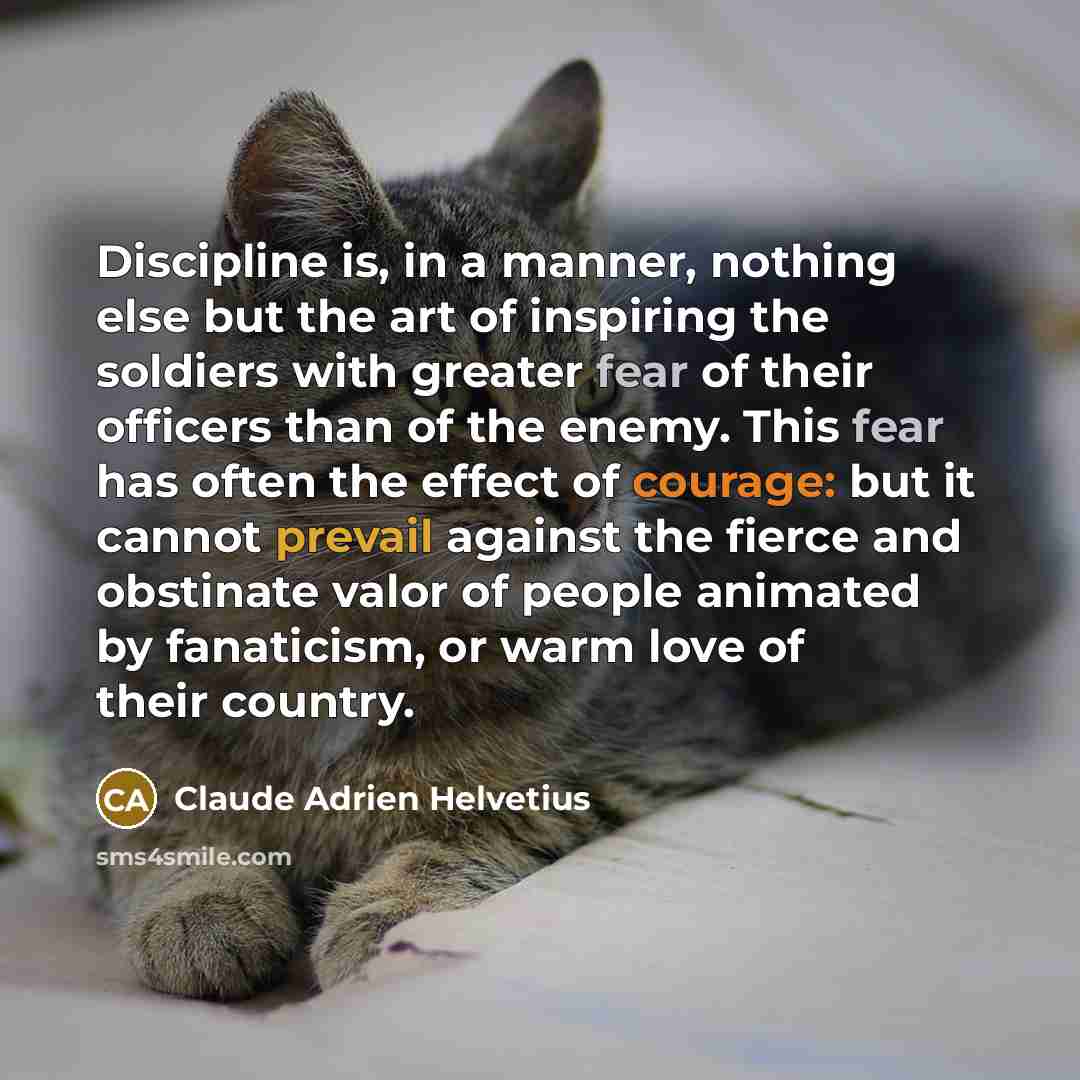 “Discipline is, in a manner, nothing else but the art…” quote by Claude Adrien Helvetius