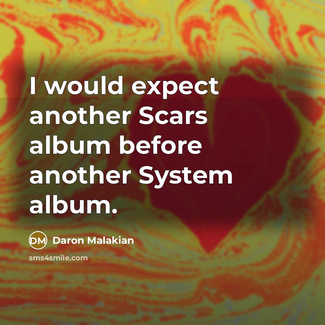 “I would expect another Scars album before another System album.…” quote by Daron Malakian