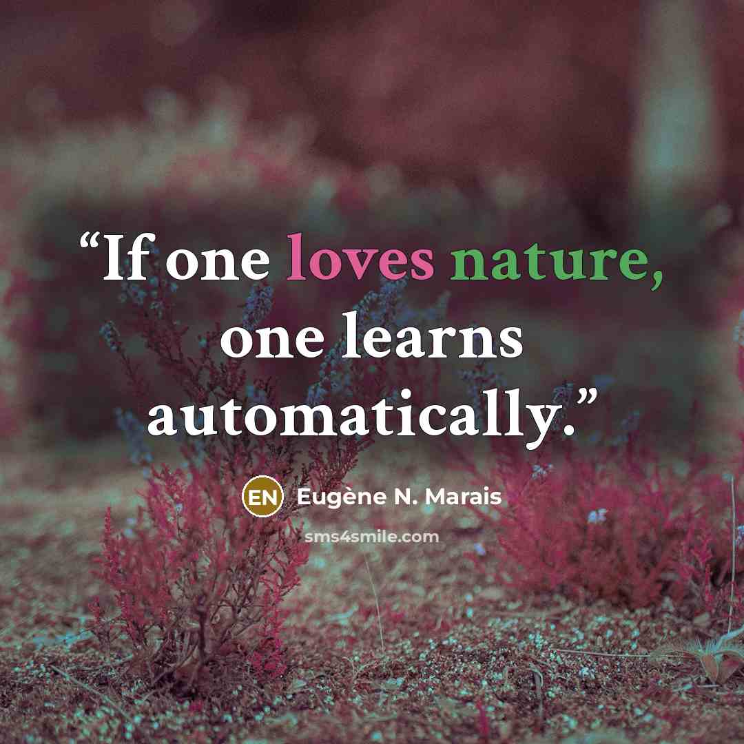 “If one loves nature, one learns automatically.” quote by Eugène N. Marais