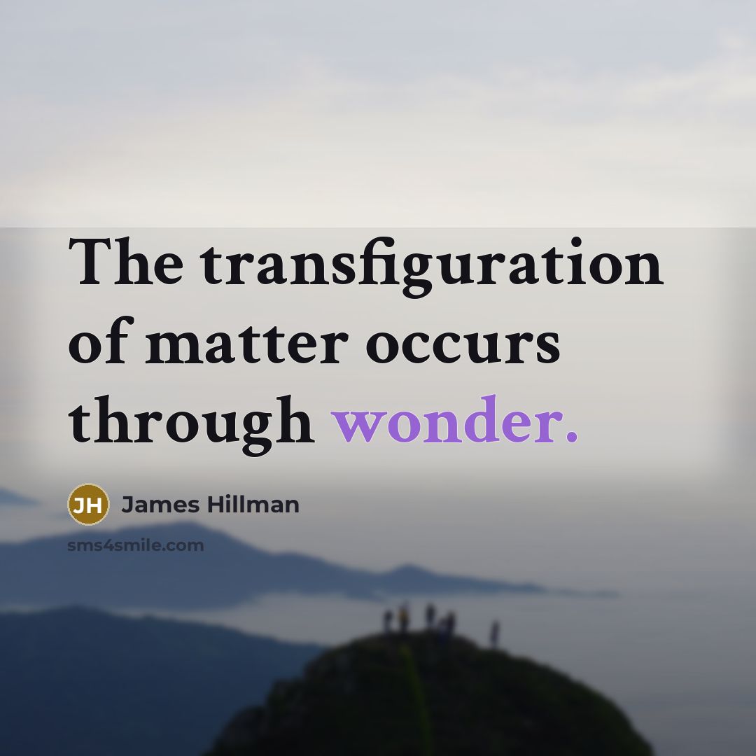 “The transfiguration of matter occurs through wonder.…” quote by James Hillman