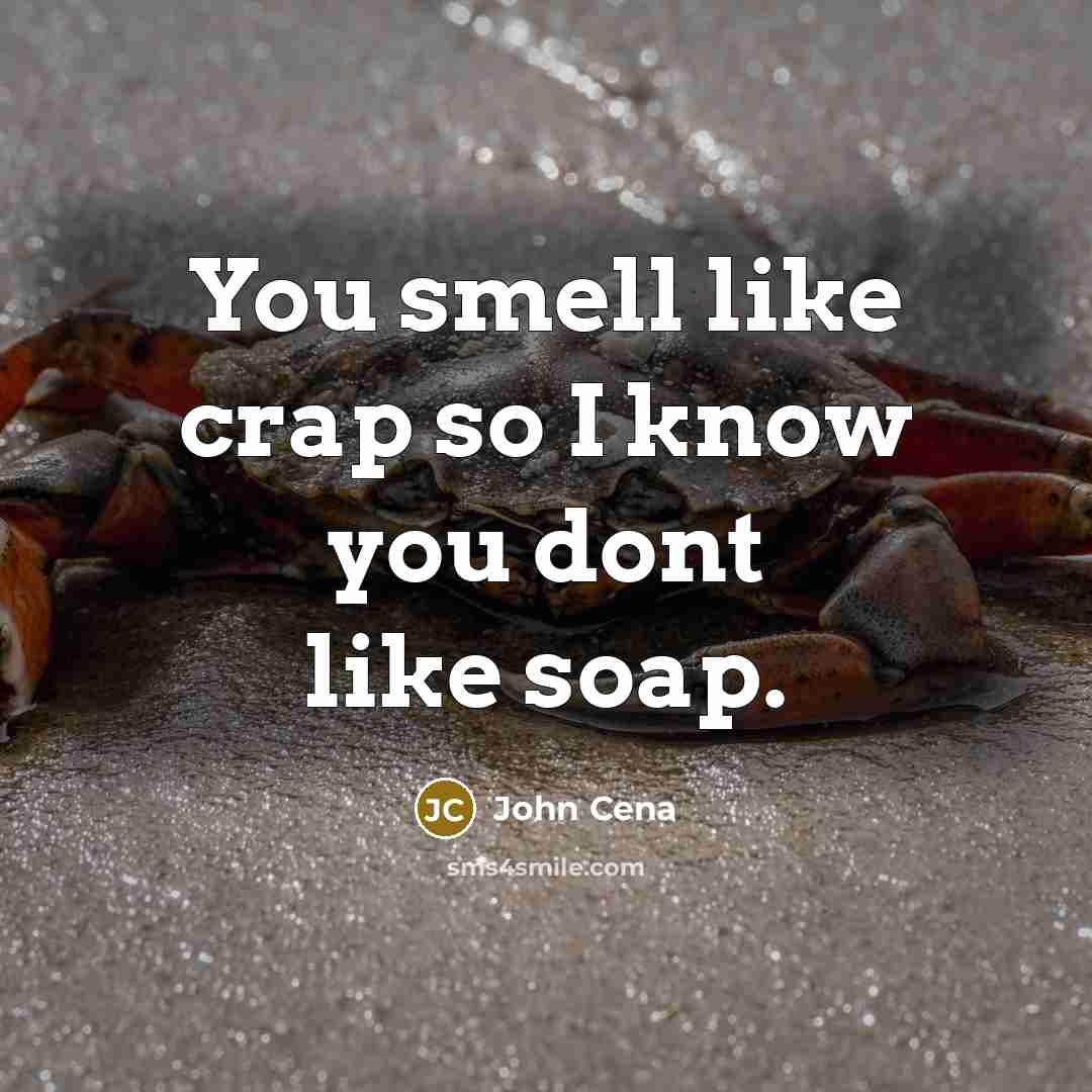 “You smell like crap so I know you dont like…” quote by John Cena