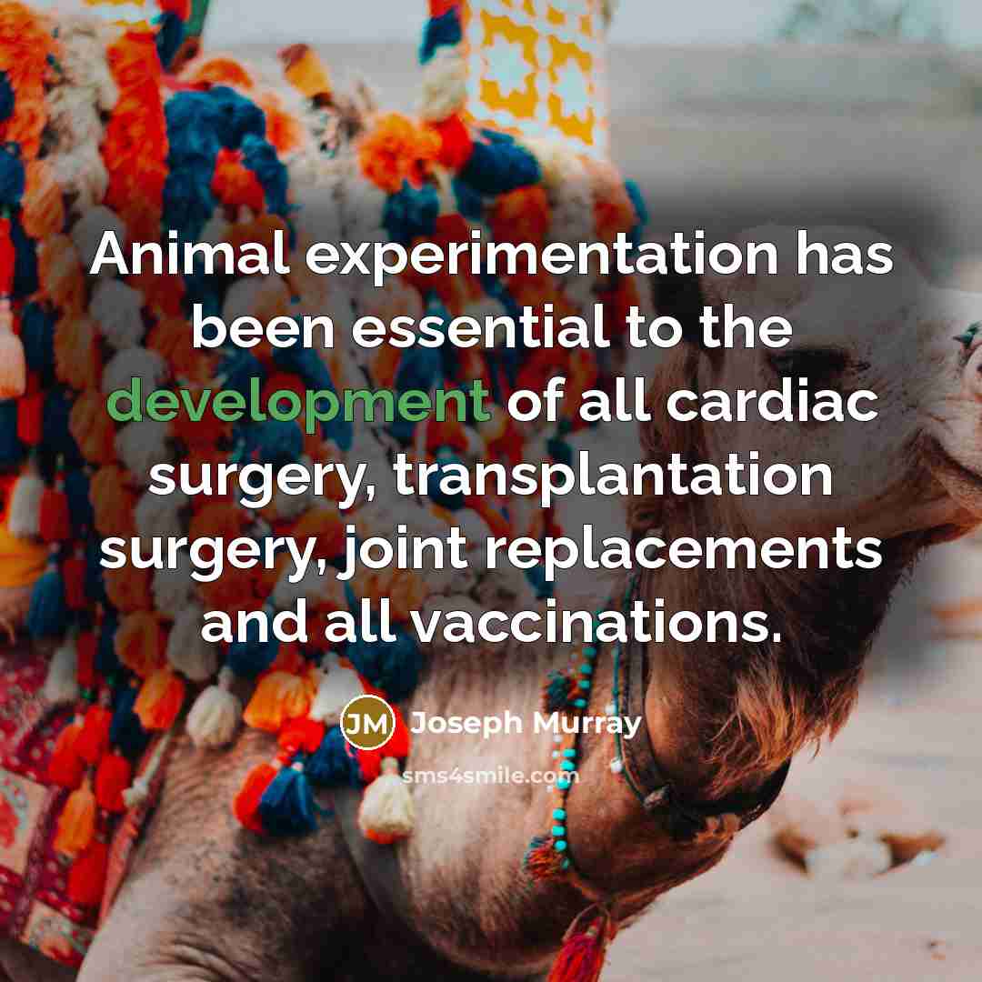 “Animal experimentation has been essential to the development of all…” quote by Joseph Murray