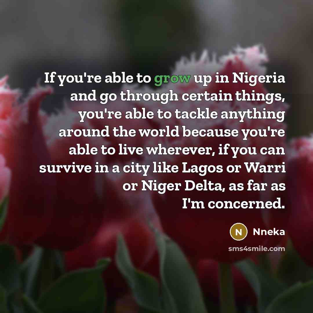 “If you're able to grow up in Nigeria and go…” quote by Nneka