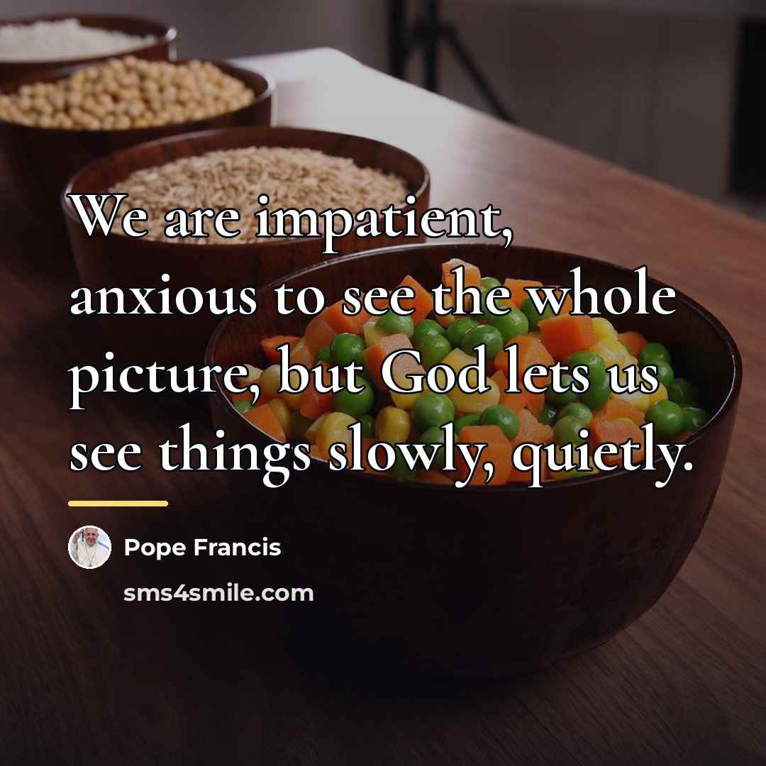 “We are impatient, anxious to see the whole picture, but…” quote by Pope Francis