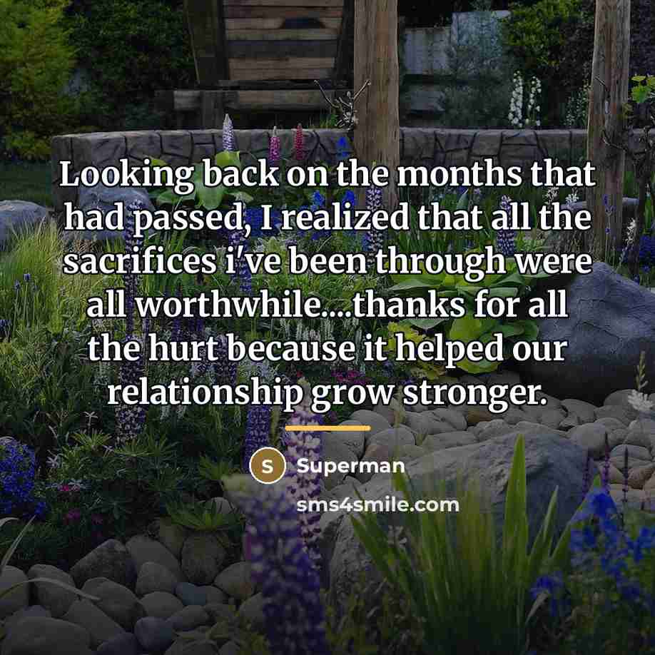 “Looking back on the months that had passed, I realized…” quote by Superman
