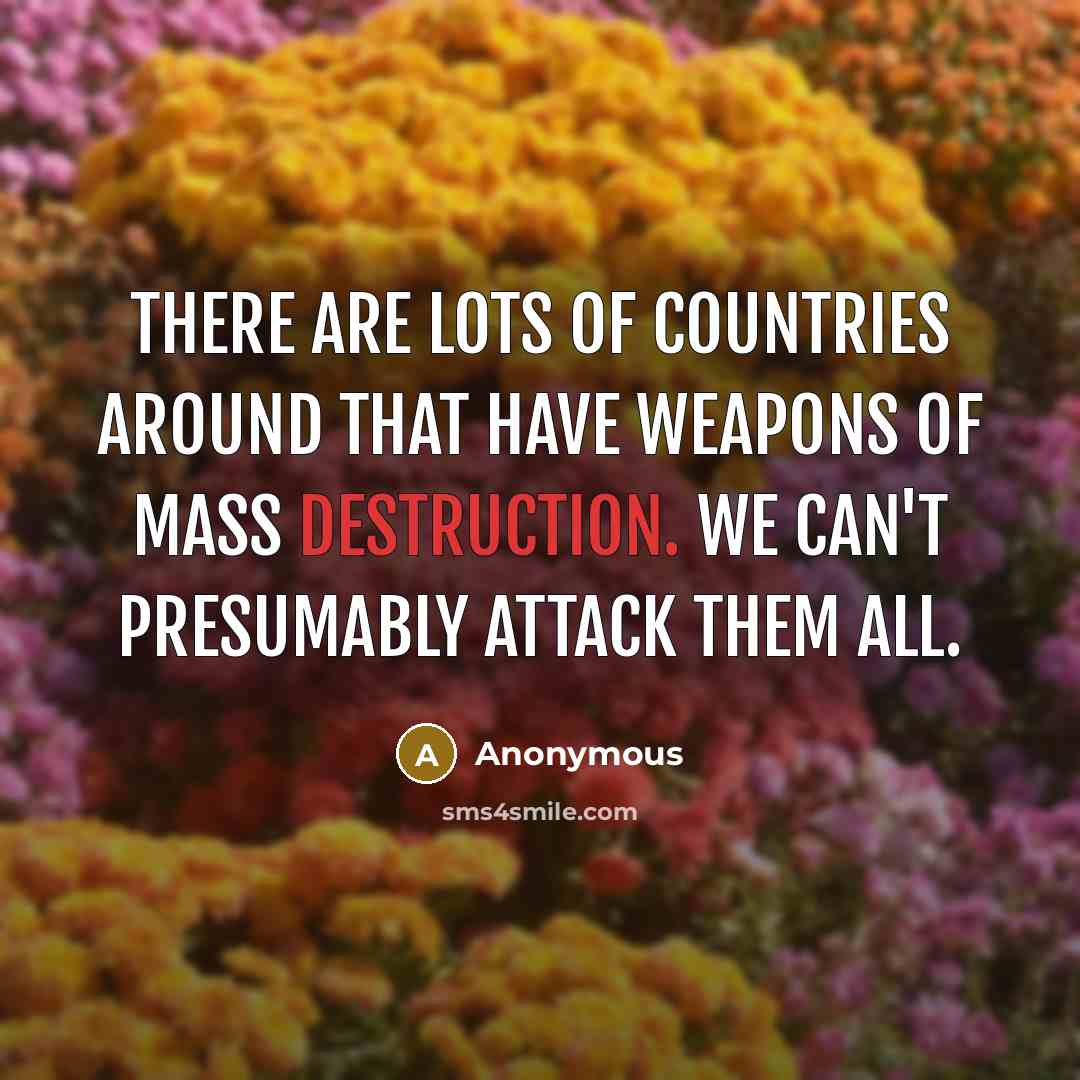 “There are lots of countries around that have weapons of mass destruction. We can't presumably attack them all.” quote by Anonymous