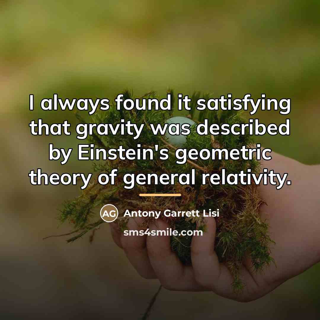 “I always found it satisfying that gravity was described by…” quote by Antony Garrett Lisi