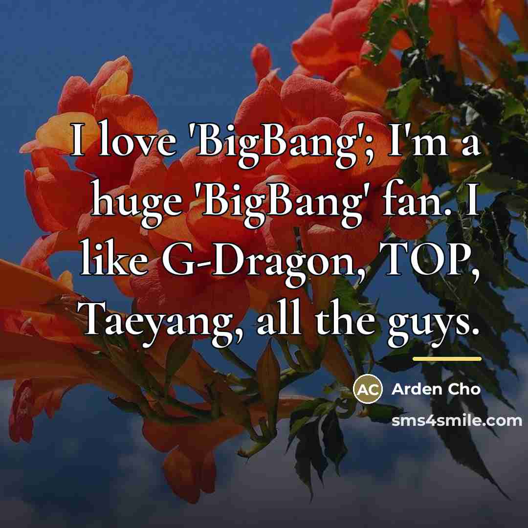 “I love 'BigBang'; I'm a huge 'BigBang' fan. I like…” quote by Arden Cho