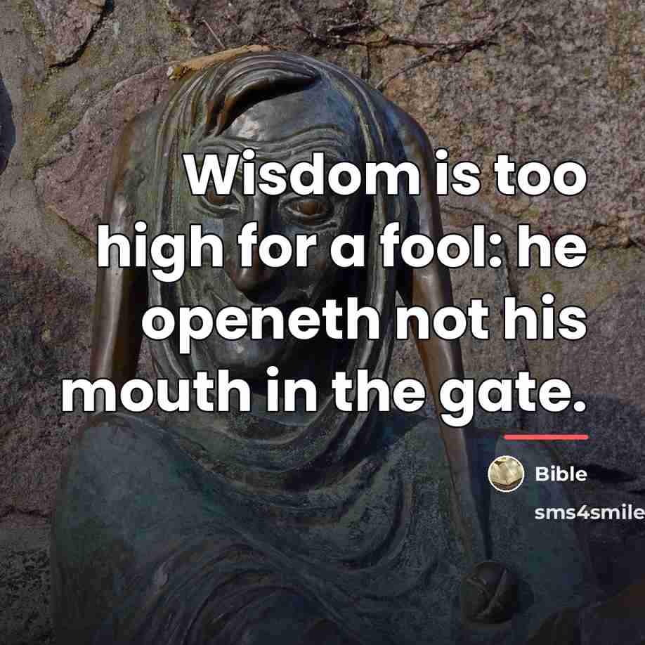 “Wisdom is too high for a fool: he openeth not…” quote by Bible