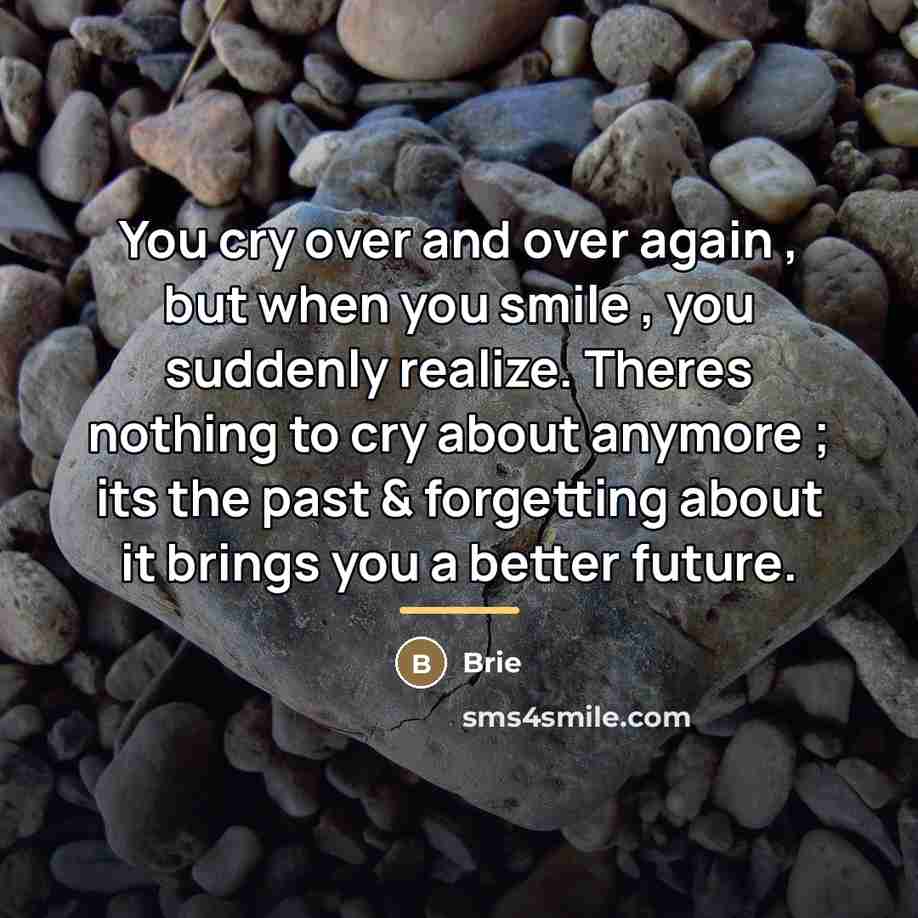 “You cry over and over again , but when you…” quote by Brie