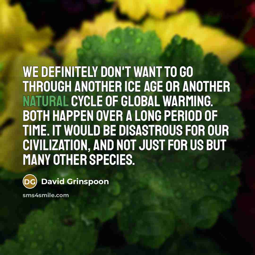 “We definitely don't want to go through another Ice Age…” quote by David Grinspoon