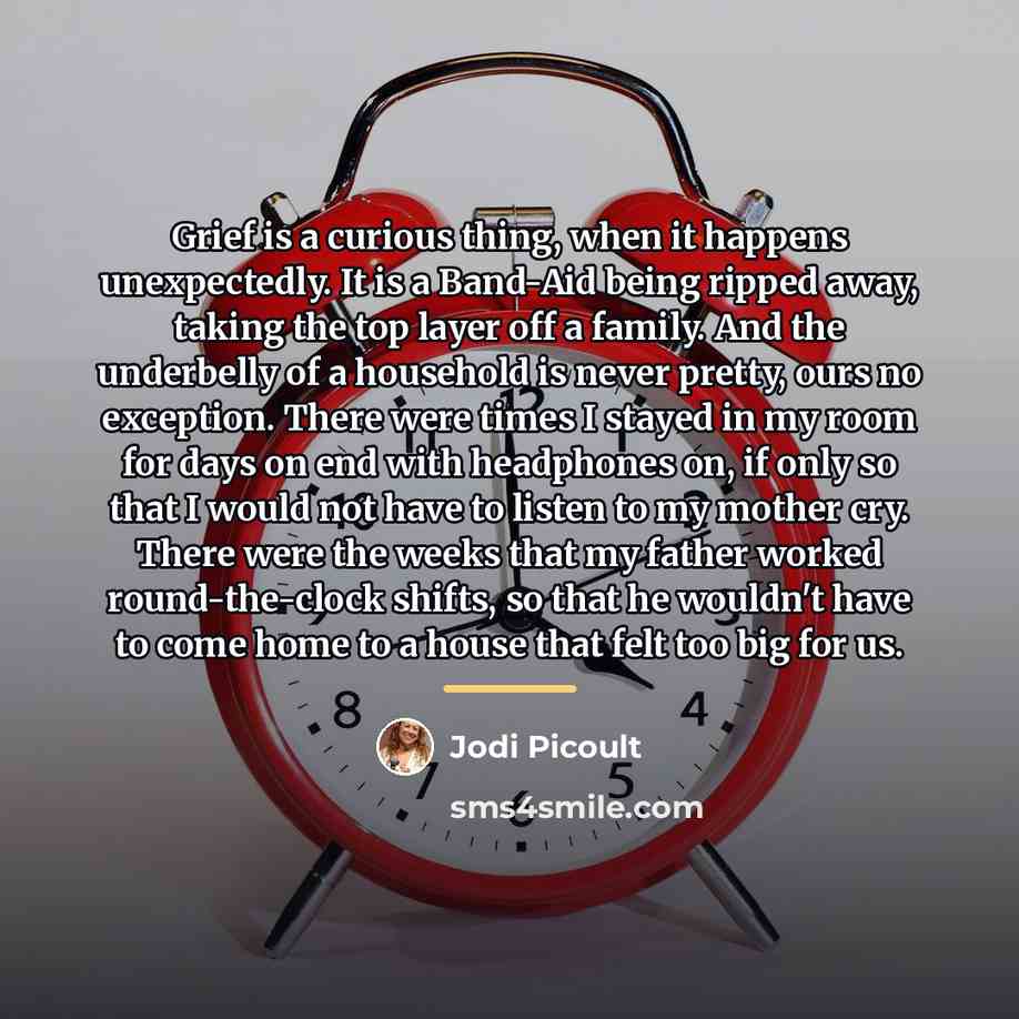 “Grief is a curious thing, when it happens unexpectedly. It…” quote by Jodi Picoult