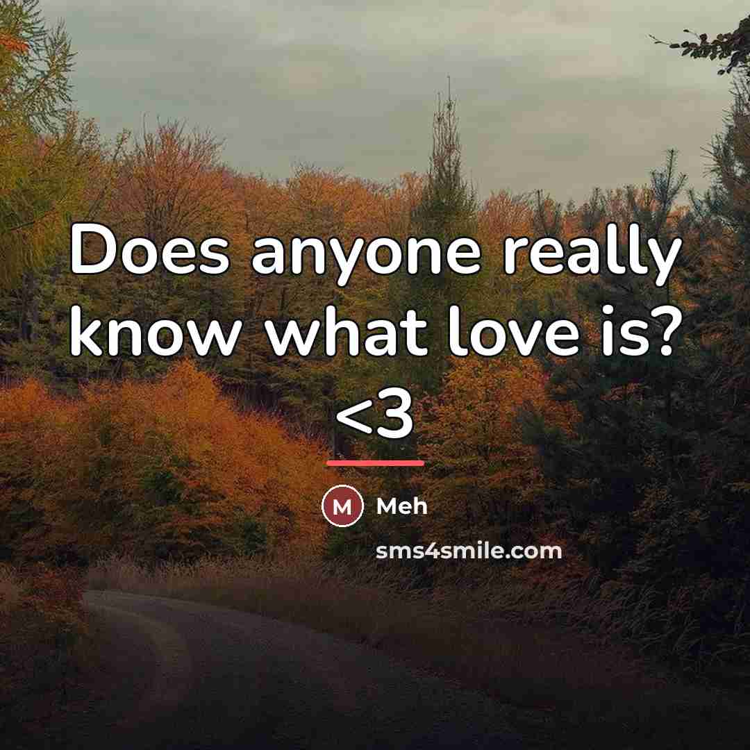 “Does anyone really know what love is?…” quote by Meh