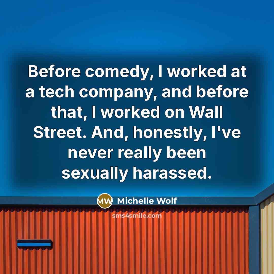 “Before comedy, I worked at a tech company, and before…” quote by Michelle Wolf