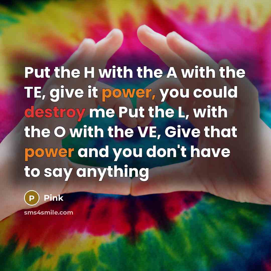“Put the H with the A with the TE, give it power, you could destroy me Put the L, with the O with the VE, Give that power and you don't have to say anything” quote by Pink