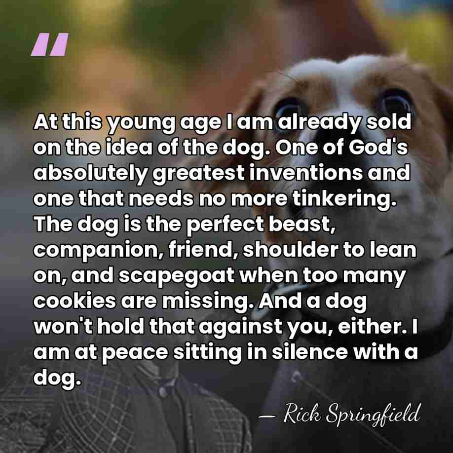 At this young age I am already sold on the idea of&hellip; - Rick Springfield