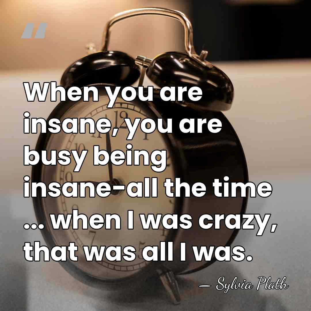 When you are insane, you are busy being insane-all the time ...&hellip; - Sylvia Plath