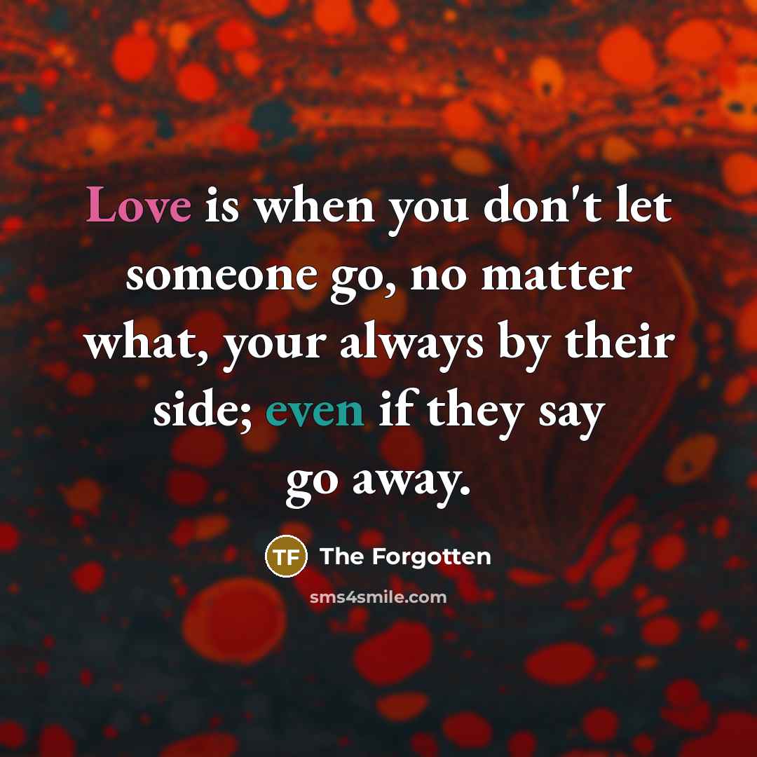 “Love is when you don't let someone go, no matter what, your always by their side; even if they say go away.” quote by The Forgotten