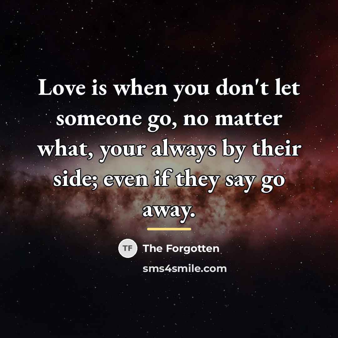 “Love is when you don't let someone go, no matter…” quote by The Forgotten
