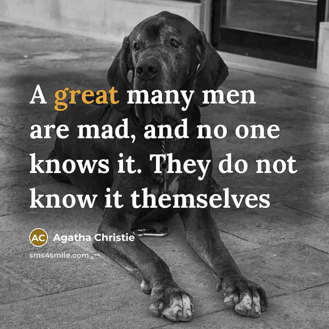 “A great many men are mad, and no one knows it. They do not know it themselves” quote by Agatha Christie