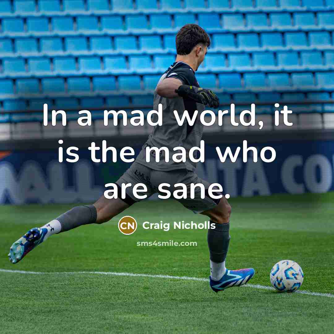 “In a mad world, it is the mad who are…” quote by Craig Nicholls