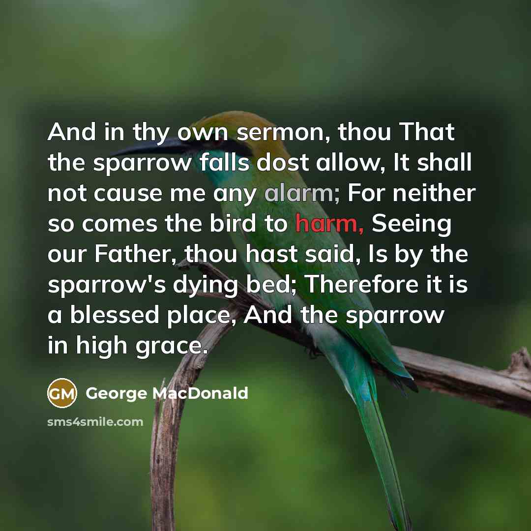 “And in thy own sermon, thou That the sparrow falls…” quote by George MacDonald