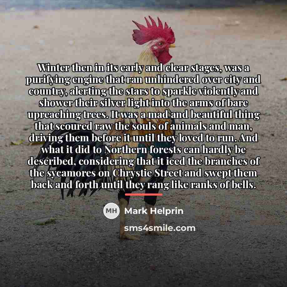 “Winter then in its early and clear stages, was a…” quote by Mark Helprin