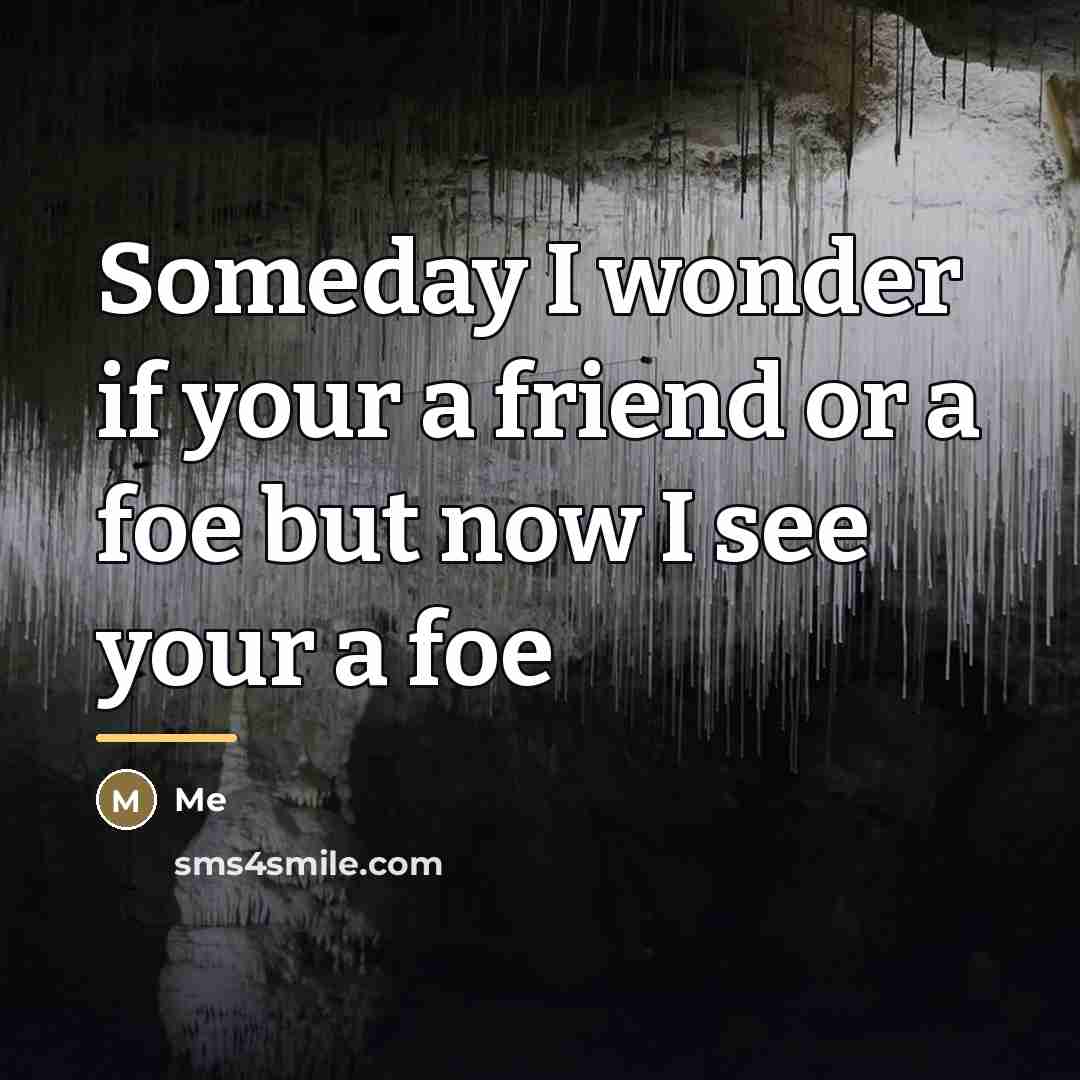 “Someday I wonder if your a friend or a foe…” quote by Me