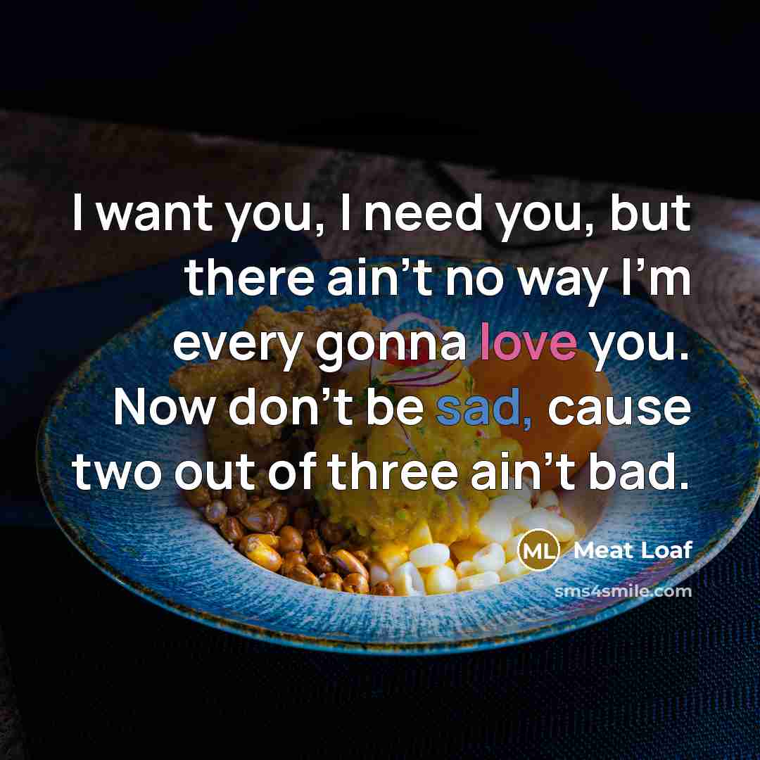 “I want you, I need you, but there ain't no…” quote by Meat Loaf