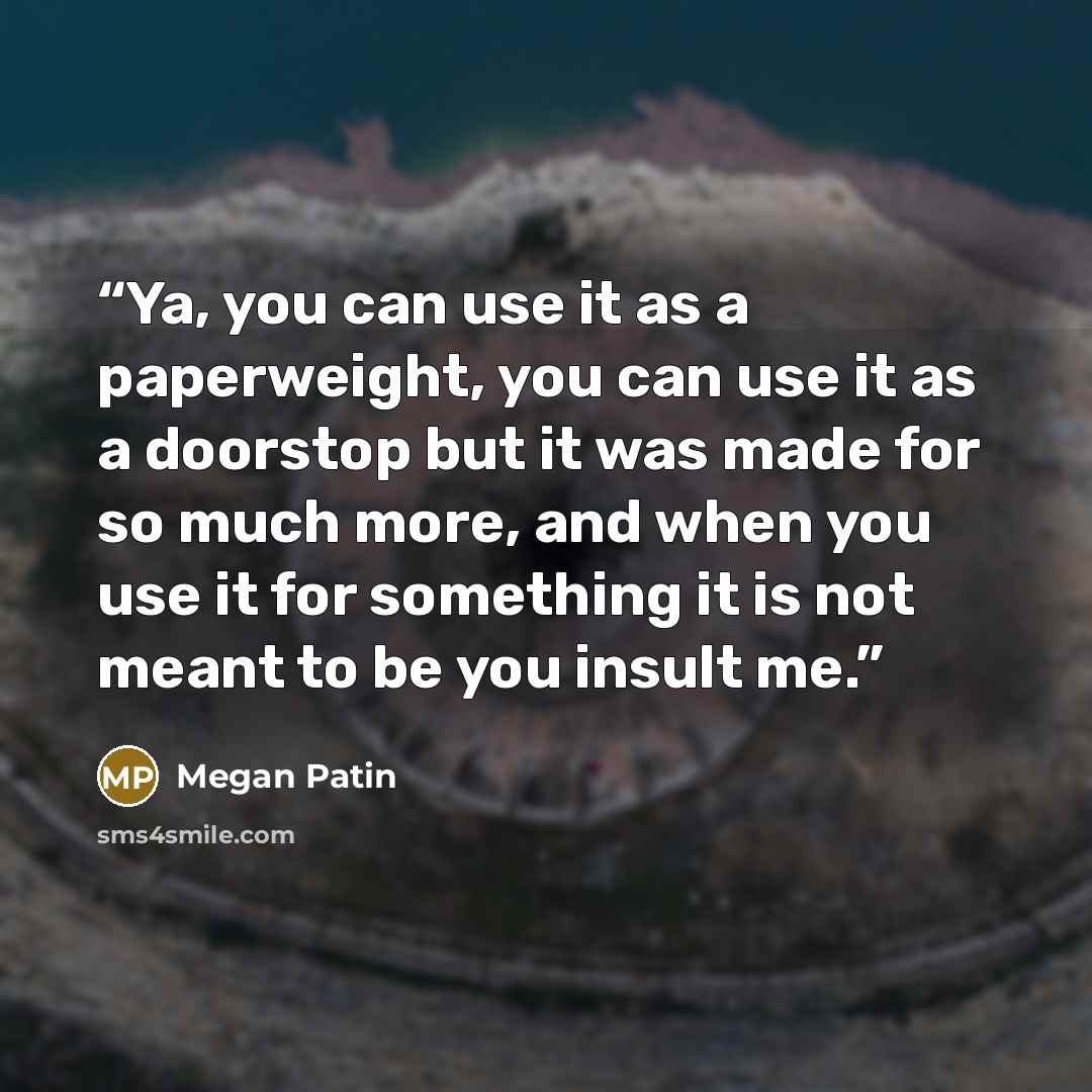 “Ya, you can use it as a paperweight, you can use it as a doorstop but it was made for so much more, and when you use it for something it is not meant to be you insult me.” quote by Megan Patin