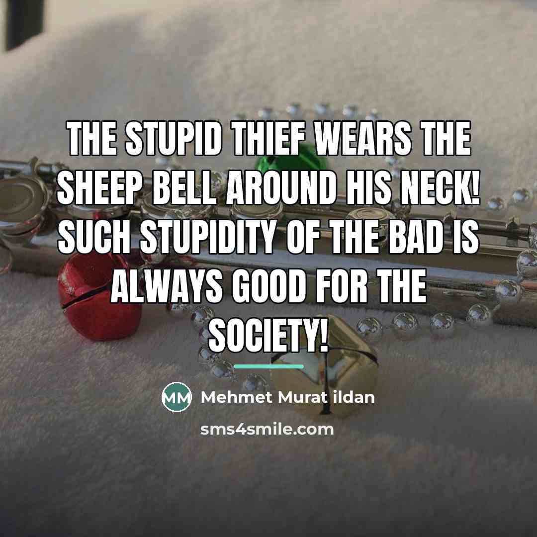 “The stupid thief wears the sheep bell around his neck!…” quote by Mehmet Murat Ildan