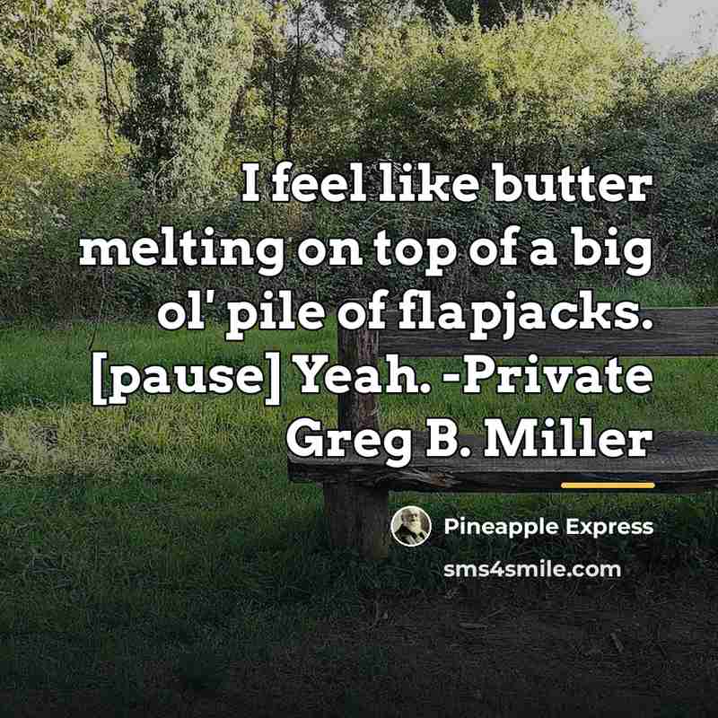 “I feel like butter melting on top of a big…” quote by Pineapple Express