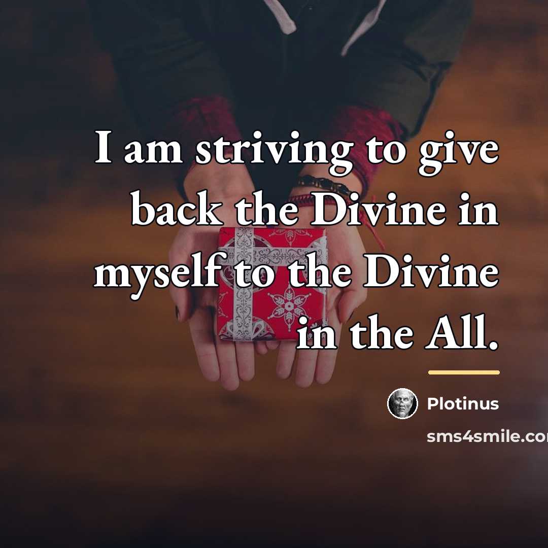 “I am striving to give back the Divine in myself…” quote by Plotinus