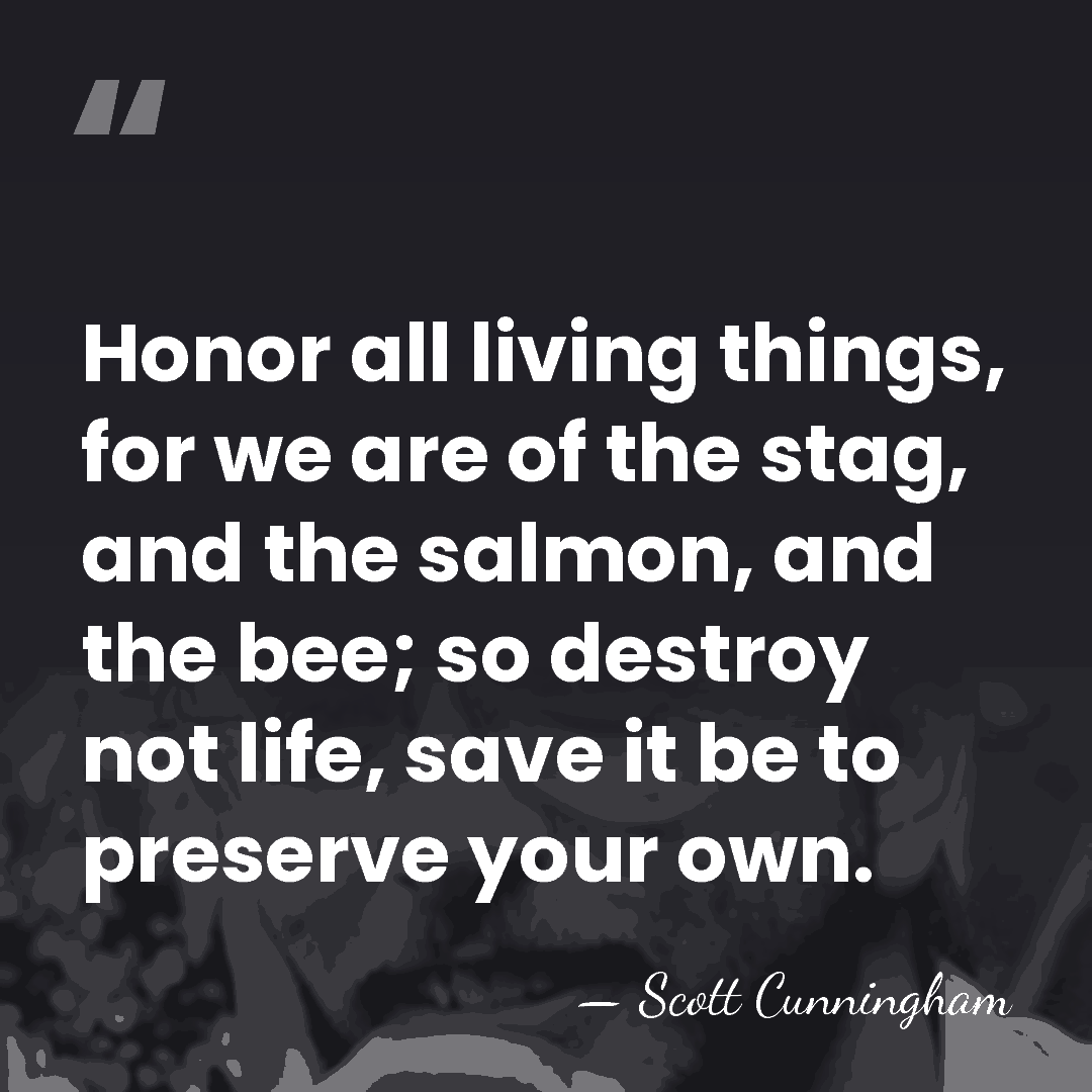 Honor all living things, for we are of the stag, and the&hellip; - Scott Cunningham