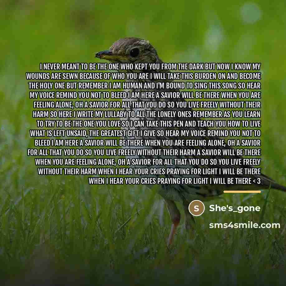 “I never meant to be the one who kept you…” quote by She's_gone